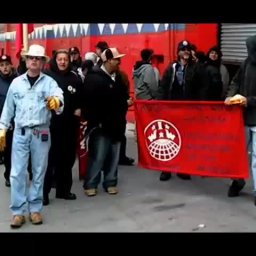 i-will-win-iww-video-file